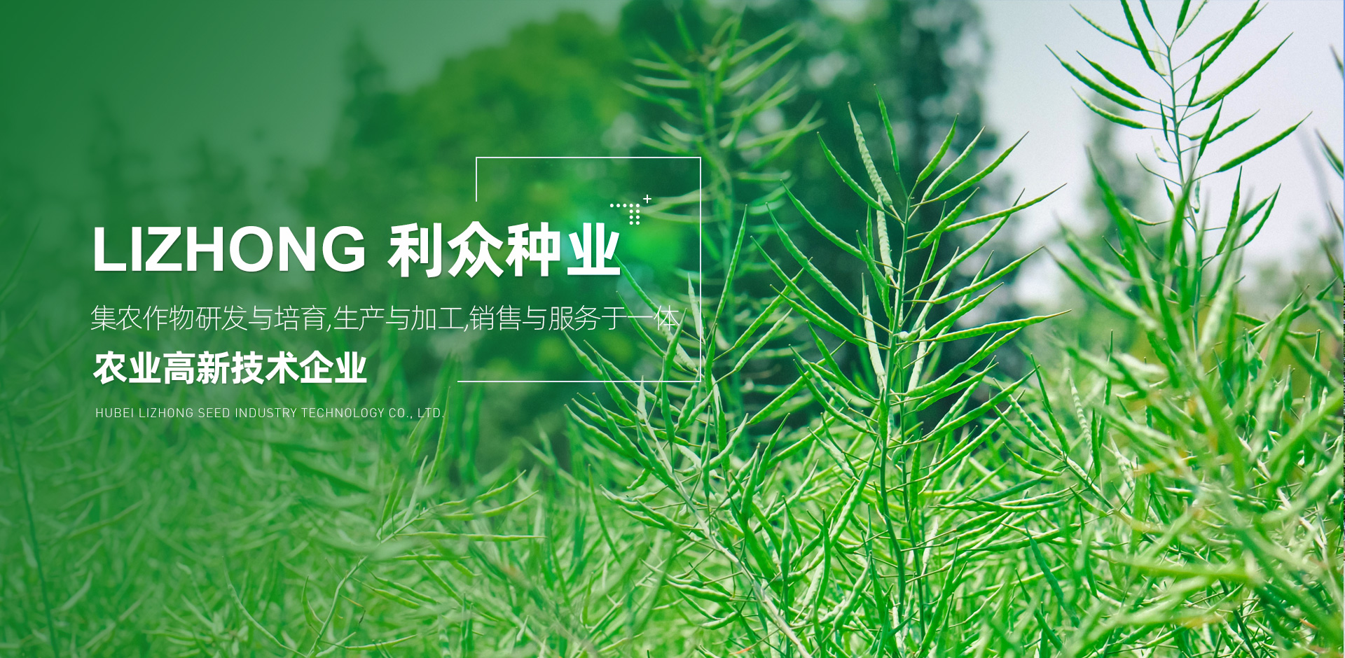 吉林市永林化工有限公司